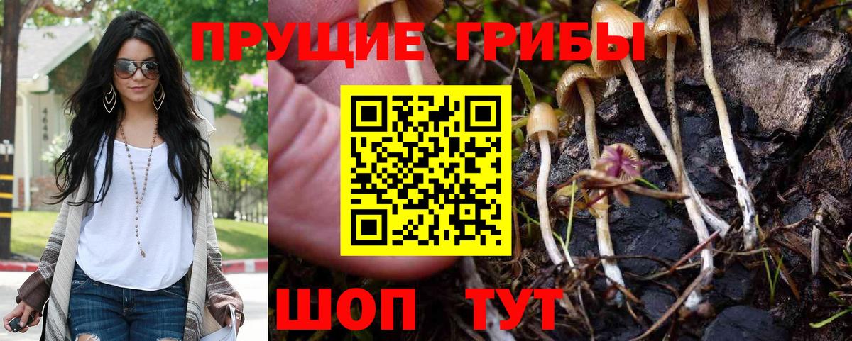 Псилоцибиновые грибы ЛСД Железногорск