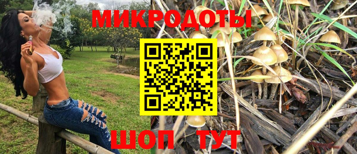 Железногорск  Галлюциногенные грибы прущие грибы  купить наркотики сайты  Вход с VPN  Галлюциногенные грибы мухоморы 
